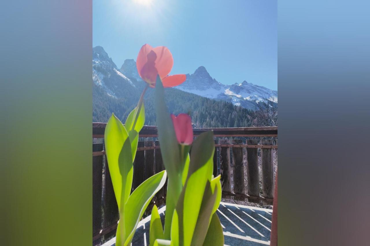 Il Terrazzo Sulle Dolomiti Apartment Cibiana Exterior photo